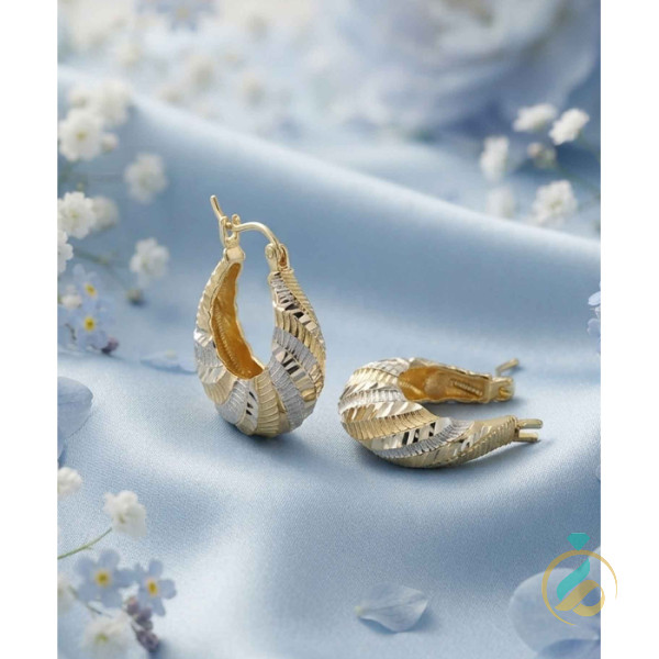 گوشواره  طلا حلقه ای دورنگ